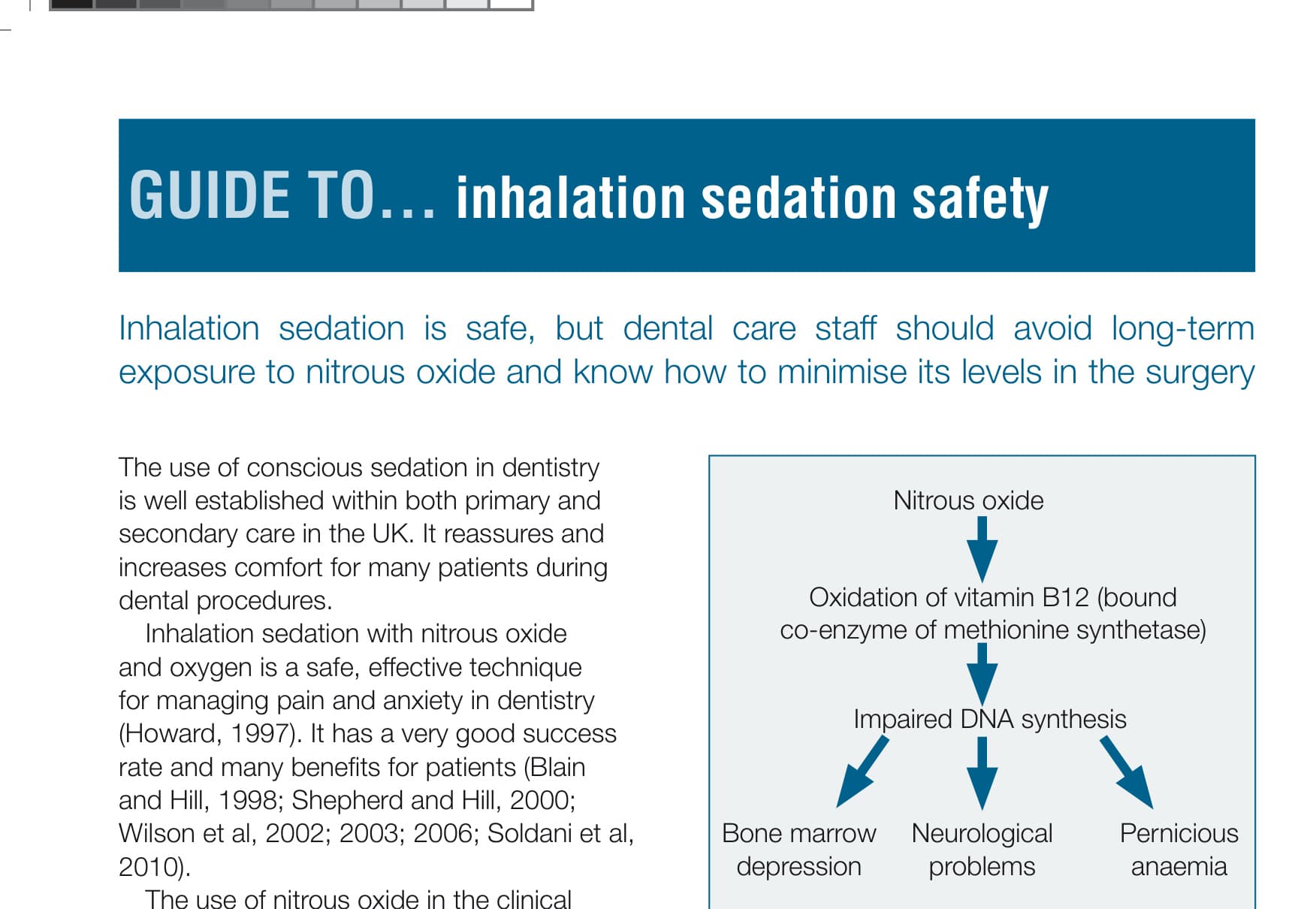 Mechanism of nitrous oxide effect